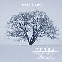 八神純子「 ＴＥＲＲＡ　－　ｈｅｒｅ　ｗｅ　ｗｉｌｌ　ｓｔａｙ　Ｐｒｅｍｉｕｍ」