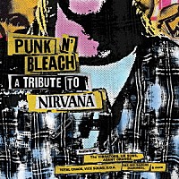 （Ｖ．Ａ．）「 ＰＵＮＫ　Ｎ’　ＢＬＥＡＣＨ　－　Ａ　ＰＵＮＫ　ＴＲＩＢＵＴＥ　ＴＯ　ＮＩＲＶＡＮＡ」