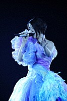 宇多田ヒカル「 ＨＩＫＡＲＵ　ＵＴＡＤＡ　ＬＩＶＥ　ＣＨＲＯＮＩＣＬＥＳ　ＷＩＬＤ　ＬＩＦＥ　（２０１０）」