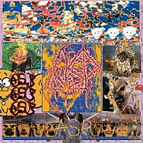 ＡＳＰ 「Ｔｅｒｍｉｎａｌ　ｄｉｓｅａｓｅ　ｏｆ　ＡＳＰ」