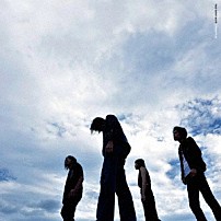 ａ　ｆｌｏｏｄ　ｏｆ　ｃｉｒｃｌｅ 「ＷＩＬＤ　ＢＵＮＮＹ　ＢＬＵＥＳ　／　野うさぎのブルース」