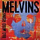 ＭＥＬＶＩＮＳ「ＢＡＤ　ＭＯＯＤ　ＲＩＳＩＮＧ」