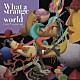 ヨシガキルイ 吉田野乃子 有本羅人 筒井響子 Ｓｕｇａｒｍｏｕｎｔａｉｎ 前田洋二「Ｗｈａｔ　ａ　ｓｔｒａｎｇｅ　ｗｏｒｌｄ」