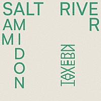 ＳＡＭ　ＡＭＩＤＯＮ「 ＳＡＬＴ　ＲＩＶＥＲ」