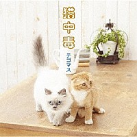 テゴマス「 猫中毒」