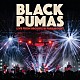 ＢＬＡＣＫ　ＰＵＭＡＳ「ＬＩＶＥ　ＦＲＯＭ　ＢＲＯＯＫＬＹＮ　ＰＡＲＡＭＯＵＮＴ」