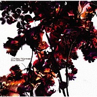 ａｃｉｄ　ａｎｄｒｏｉｄ「 １３：ｄａｙ：ｄｒｅａｍ」