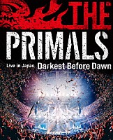 祖堅正慶，ＴＨＥ　ＰＲＩＭＡＬＳ「 ＴＨＥ　ＰＲＩＭＡＬＳ　Ｌｉｖｅ　ｉｎ　Ｊａｐａｎ　－　Ｄａｒｋｅｓｔ　Ｂｅｆｏｒｅ　Ｄａｗｎ」