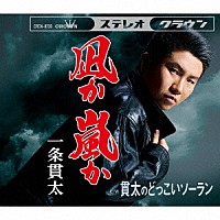 一条貫太「 凪か　嵐か」