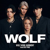ＷＯＬＦ　ＨＯＷＬ　ＨＡＲＭＯＮＹ　ｆｒｏｍ　ＥＸＩＬＥ　ＴＲＩＢＥ「 ＷＯＬＦ」
