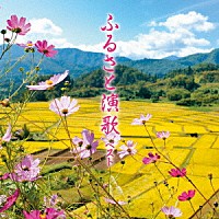 （Ｖ．Ａ．）「 ふるさと演歌　ベスト」