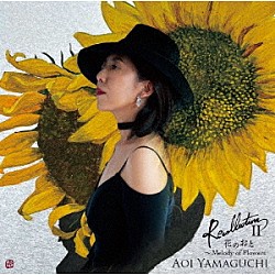 山口葵 フェビアン・レザ・パネ 堺敦生 伊丹雅博「Ｒｅｃｏｌｌｅｃｔｉｏｎ　Ⅱ　花のおと」