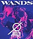 ＷＡＮＤＳ「ＷＡＮＤＳ　Ｌｉｖｅ　Ｔｏｕｒ　２０２４　～ＢＯＬＤ～」