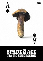 ＲＣサクセション「 スペードのエース」