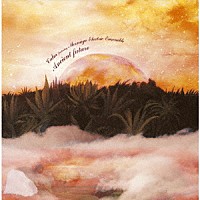 Ｃａｌｍ　ｆｅａｔｕｒｉｎｇ　Ｍｏｏｎａｇｅ　Ｅｌｅｃｔｒｉｃ　Ｅｎｓｅｍｂｌｅ「 Ａｎｃｉｅｎｔ　ｆｕｔｕｒｅ」