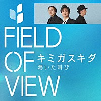 ＦＩＥＬＤ　ＯＦ　ＶＩＥＷ「 キミガスキダ」