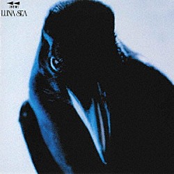 ＬＵＮＡ　ＳＥＡ「ＲＥＷ」