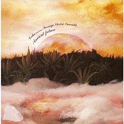 Ｃａｌｍ　ｆｅａｔｕｒｉｎｇ　Ｍｏｏｎａｇｅ　Ｅｌｅｃｔｒｉｃ　Ｅｎｓｅｍｂｌｅ「Ａｎｃｉｅｎｔ　ｆｕｔｕｒｅ」