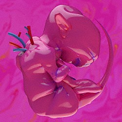 春ねむり「ｅｋｋｏｌａｐｔｏｍｅｎｏｓ」