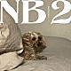 Ｎｏ　Ｂｕｓｅｓ「ＮＢ２」