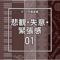 （ＢＧＭ）「 ＮＴＶＭ報道編　悲観・失意・緊張感０１」