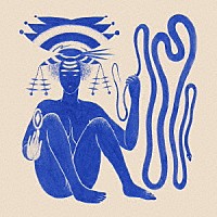 ハイエイタス・カイヨーテ「 ラブ・ハート・チート・コード」