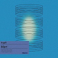 Ｎｉｋｏん「 ｆｒａｇｉｌｅ　Ｒｅｐｏｒｔ」