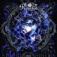 Ｒｏｓｅｌｉａ 「Ｓｔｅａｄｆａｓｔ　Ｓｐｉｒｉｔｓ」