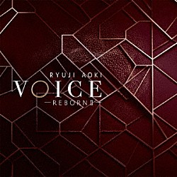 青木隆治「ＶＯＩＣＥ－ＲＥＢＯＲＮ　Ⅱ－」