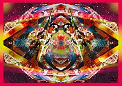 ２４４　ＥＮＤＬＩ－ｘ「エンドリケリー　ＬＩＶＥ　ＤＶＤ」