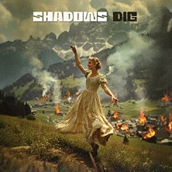 ＳＨＡＤＯＷＳ「ＤＩＧ」