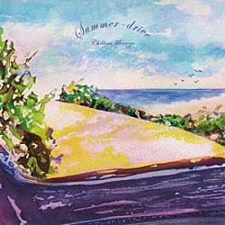 （Ｖ．Ａ．） カジヒデキ 曽我部恵一 ｏｒａｎｇｅ　ｐｅｋｏｅ ＴＡＭＴＡＭ 西寺郷太 ｌｏ－ｋｅｙ　ｄｅｓｉｇｎ ｈａｒｕｋａ　ｎａｋａｍｕｒａ「Ｓｕｍｍｅｒ－ｄｒｉｖｅ　Ｃｈｉｌｌｏｕｔ　Ｂｒｅｅｚｅ」