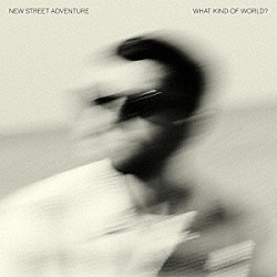 Ｎｅｗ　Ｓｔｒｅｅｔ　Ａｄｖｅｎｔｕｒｅ「Ｗｈａｔ　Ｋｉｎｄ　Ｏｆ　Ｗｏｒｌｄ？」