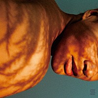 フリーダ・トゥレイ「 ホームバディ」