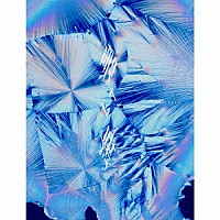 ＤＵＳＴＣＥＬＬ「 碧い海」