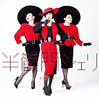 星屑スキャット「 半蔵門シェリ」