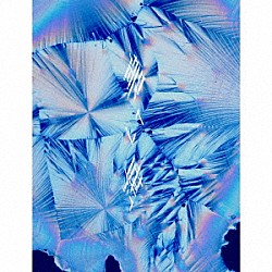 ＤＵＳＴＣＥＬＬ「碧い海」