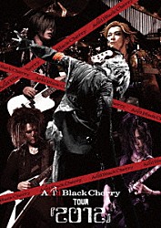 Ａｃｉｄ　Ｂｌａｃｋ　Ｃｈｅｒｒｙ「Ａｃｉｄ　Ｂｌａｃｋ　Ｃｈｅｒｒｙ　ＴＯＵＲ　『２０１２』」