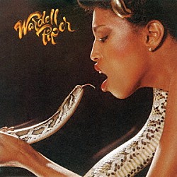 ワーデル・パイパー「ワーデル・パイパー　＋８」