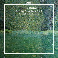 （クラシック）「 ビットナー：弦楽四重奏曲第１番、第２番」