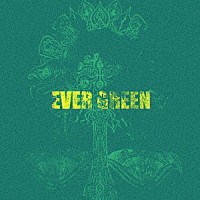 ＴＯＯＢＯＥ「 ＥＶＥＲ　ＧＲＥＥＮ」