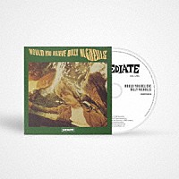 ビリー・ニコルス「 ウッド・ユー・ビリーヴ（イミディエイト　６０ｔｈ　アニヴァーサリー）」