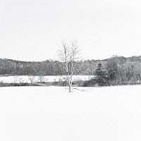 横山起朗「 六花」