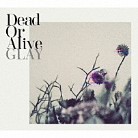 ＧＬＡＹ 「Ｄｅａｄ　Ｏｒ　Ａｌｉｖｅ」