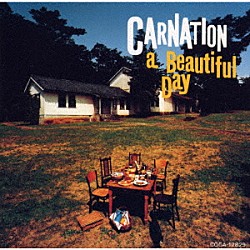 カーネーション「ビューティフル・デイ」