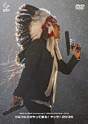 ウルフルズ「“２０ｔｈ　＆　２５ｔｈ　Ａｎｎｉｖｅｒｓａｒｙ”　ＯＳＡＫＡウルフルカーニバル　ウルフルズがやって来る！　ヤッサ！２０／２５」