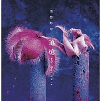 須磨邦雄「 追憶～Ｒｅｃｏｌｌｅｃｔｉｏｎ」