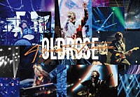 Ａｑｕａ　Ｔｉｍｅｚ「 Ａｑｕａ　Ｔｉｍｅｚ　２０ｔｈ　Ｌｉｖｅ　－ＯＬＤＲＯＳＥ－」