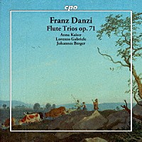（クラシック）「 ダンツィ：フルート三重奏曲　Ｏｐ．７１」