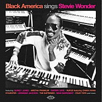 （Ｖ．Ａ．）「 ブラック・アメリカ・シングス・スティーヴィー・ワンダー」